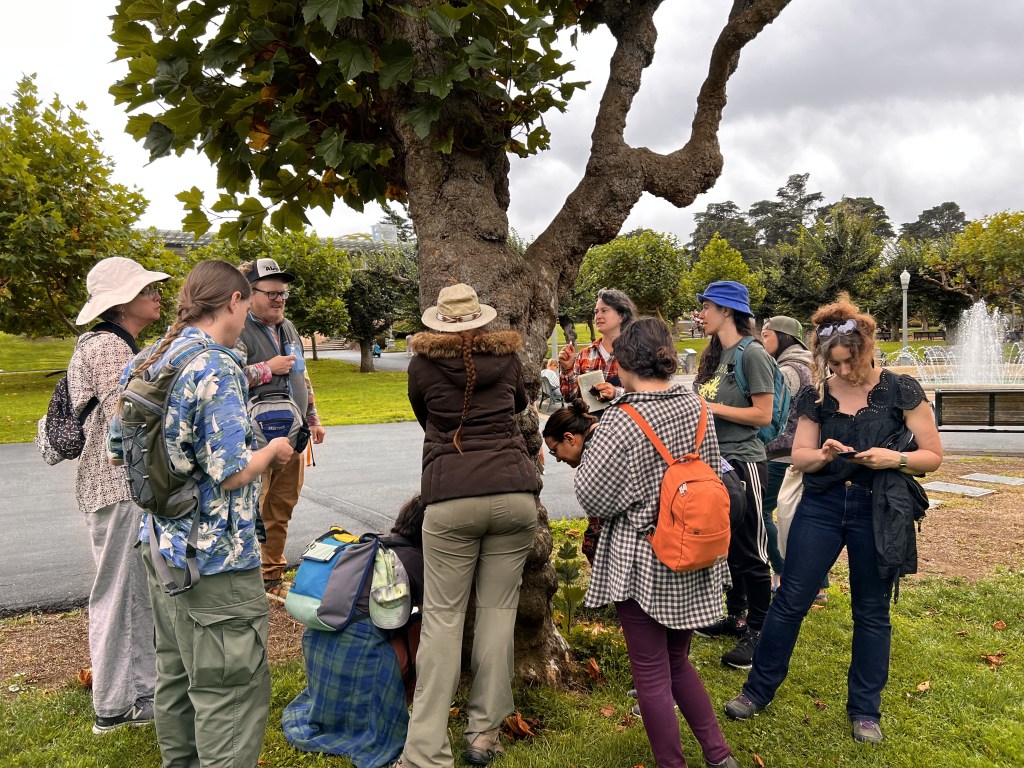 Meet the Lichens Episode 2: Your Local&nbsp;Park